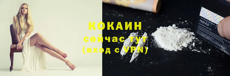 купить  цена  Каргат  мега ТОР  COCAIN Fish Scale 