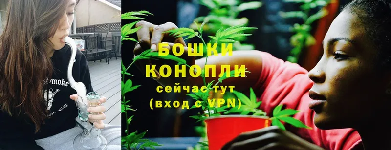 Бошки марихуана THC 21%  Каргат 